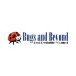 Bedbugs Removal Longmont CO