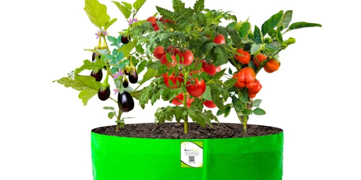 Exploring the Benefits of Planter Bags: A Sustainable Solution for Gardening