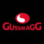 Gussmagg GmbH