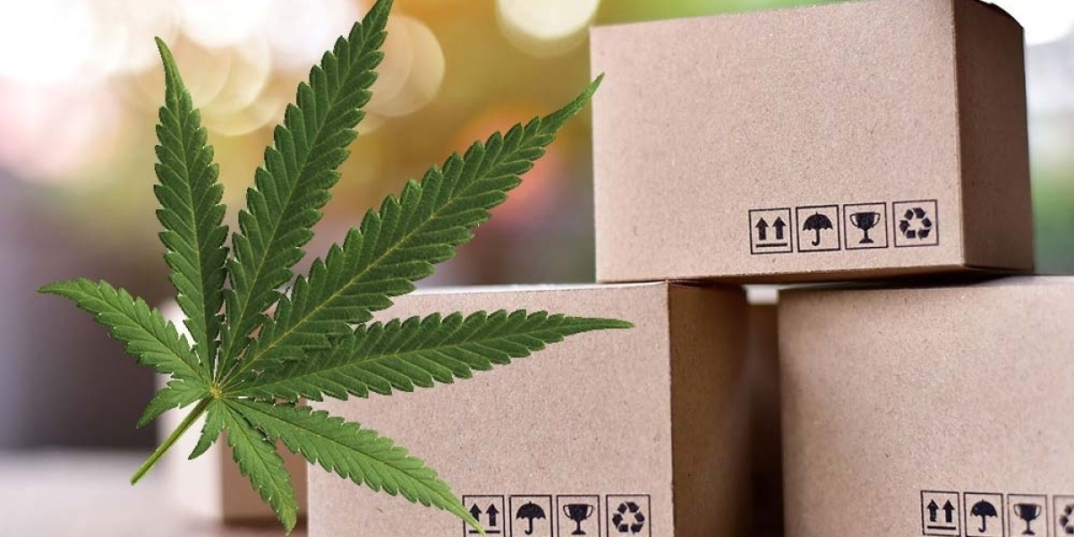 Custom CBD Boxes & Wholesale Packaging with Logo