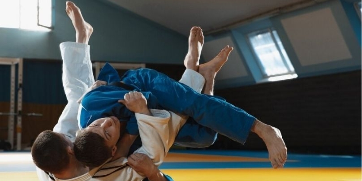 Online Martial Arts Training: Affordable Alternatives to In-Person Classes