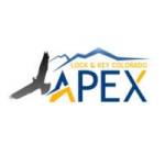 apex locklocksmith